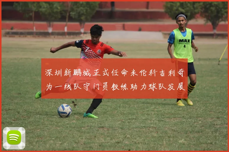 深圳新鹏城正式任命米伦科吉利奇为一线队守门员教练助力球队发展