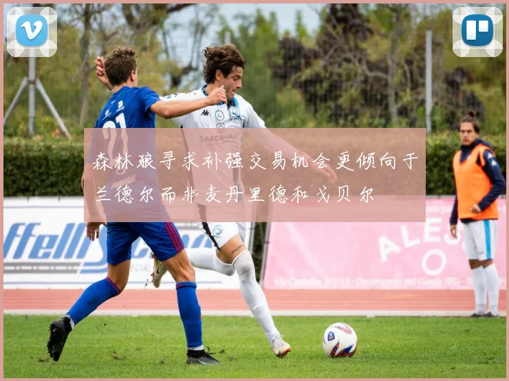 森林狼寻求补强交易机会更倾向于兰德尔而非麦丹里德和戈贝尔
